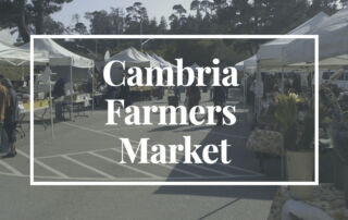 Cambria Farmers Market on Cambria Currents, cambriacurrents.com, #cambriacurrents, @cambriacurrents